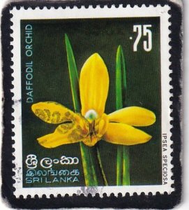 Sri Lanka     #     497     used