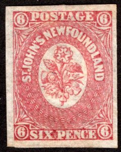 20, NSSC, Newfoundland, 6d, six pence, rose lake, MHOG, VF, Postage Stamp