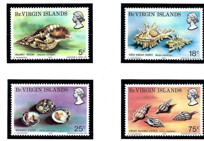 British Virgin Is 274-77 MNH 1974 Sea Shells    (ap1480)