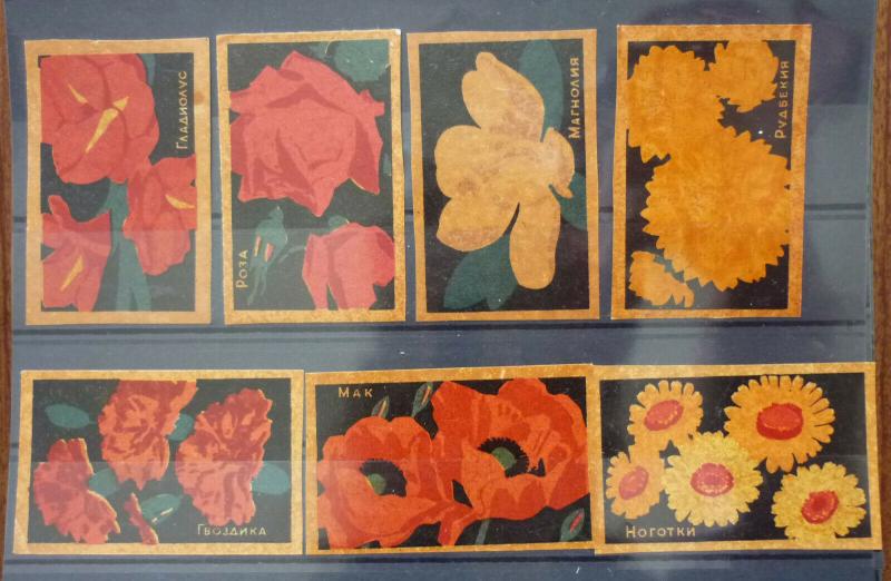 Match Box Labels! flora flower flowers nature russia russland sssr GJ11