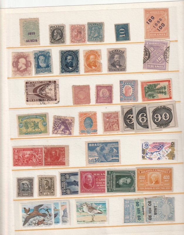 Brazil - With Duplication, 7 Scans