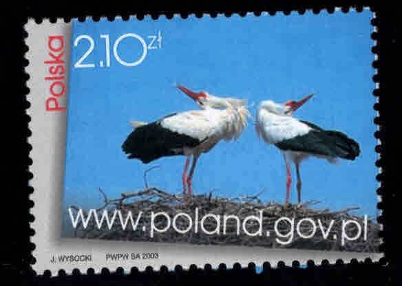 Poland Scott 3699 MNH** Nesting Bird stamp