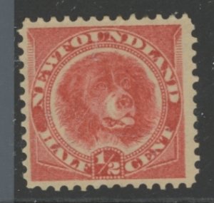 Newfoundland #56 Unused Single