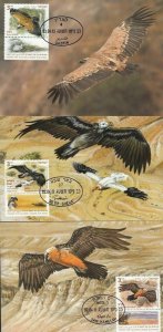 JUDAICA - ISRAEL Sc # 1969-71 SET of 3 MAXIMUM CARDS for ENDANGERED VULTURES