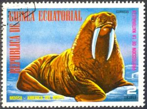 Marine Life, Walrus, Guinea Ecuatorial stamp Used