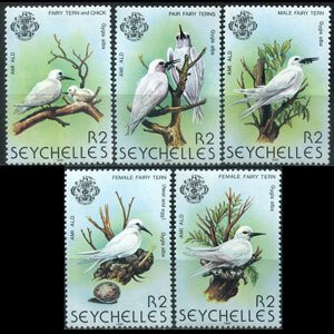 SEYCHELLES 1981 - Scott# 468a-e Birds-Terns Set of 5 NH short perf.