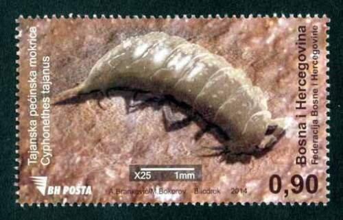 BOSNIA & HERZEGOVINA/2014, Tajan cave woodlouse (Fossil), MNH 