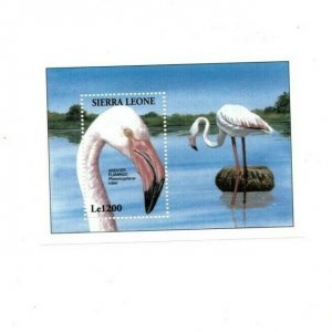 Sierra Leone 1994 - Flamingo, Birds - Souvenir Sheet - Scott 1739 - MNH