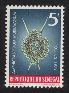 Senegal 'Amphicraspedum murrayanum' Protozoans Marine Life 1972 MNH SG#507