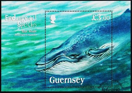 Guernsey. 2016? £3 Miniature Sheet. Fine Used