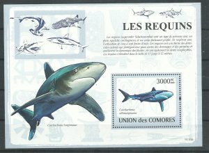 Comoro Islands   SS   Shark   Mint  NH VF   2009   PD