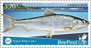 BEEPOST ESTONIA - 2024 - Fishes - Perf Single Stamp - MNH - Private Issue