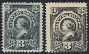 NEWFOUNDLAND 1890 QV 3C - 2SHADES