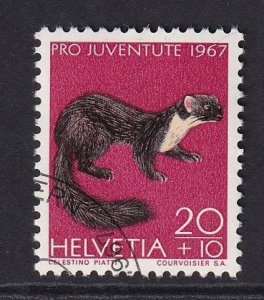 Switzerland  #B371  cancelled  1967  Pro Juventute  20c  pine marten