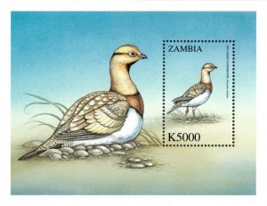 Zambia 2000 - Birds of The World Sandgrouse - Souvenir Sheet - Scott 901 - MNH