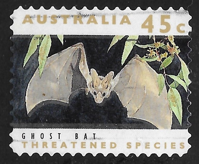 australian ghost bat