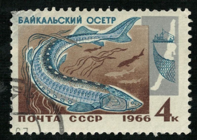 Fish, (4234-Т)