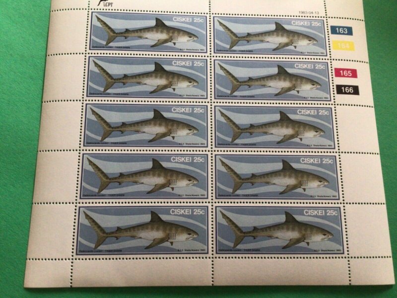 Tiger shark & Hammerhead shark Ciskei mint never hinged stamps A10922