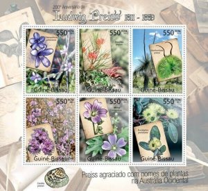 Guinea 2011 MNH - 200th Years of Ludwig Preiss, (Flora & Flowers).