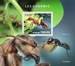 Togo 2019 MNH Insects Stamps Ants Red Wood Ant 1v S/S