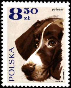 Poland #1636-1643, Complete Set(8), 1969, Dogs, Never Hinged