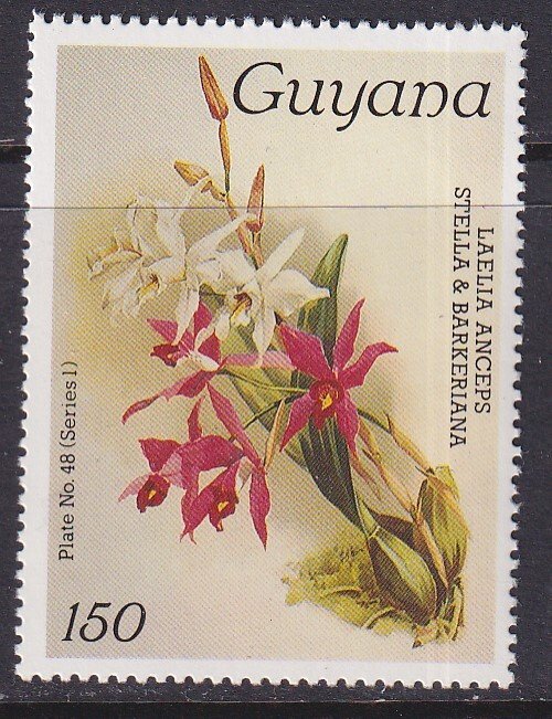 Guyana (1985) #1083 MNH; Orchid