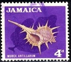 Murex Antillarum, Sea Shell, Jamaica stamp SC#222 used