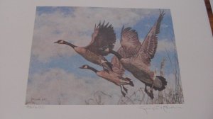 Canada #FWH3 -- 1987 Wildlife Habitat Painting signed and number 456