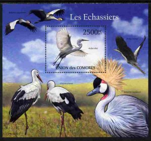 COMORO ISLANDS - 2011 - Wading Birds - Perf Souv Sheet - MNH - Private Issue