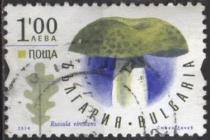 Bulgaria 4664 (used) 1L mushroom: Russula virescens (green brittlegill) (2014)