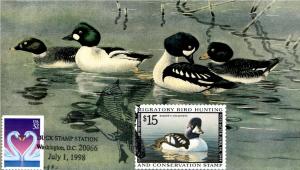 #RW65A Barrow's Goldeneye S & T FDC