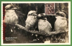 37213 - AUSTRALIA - MAXIMUM CARD - 1948 - BIRDS-