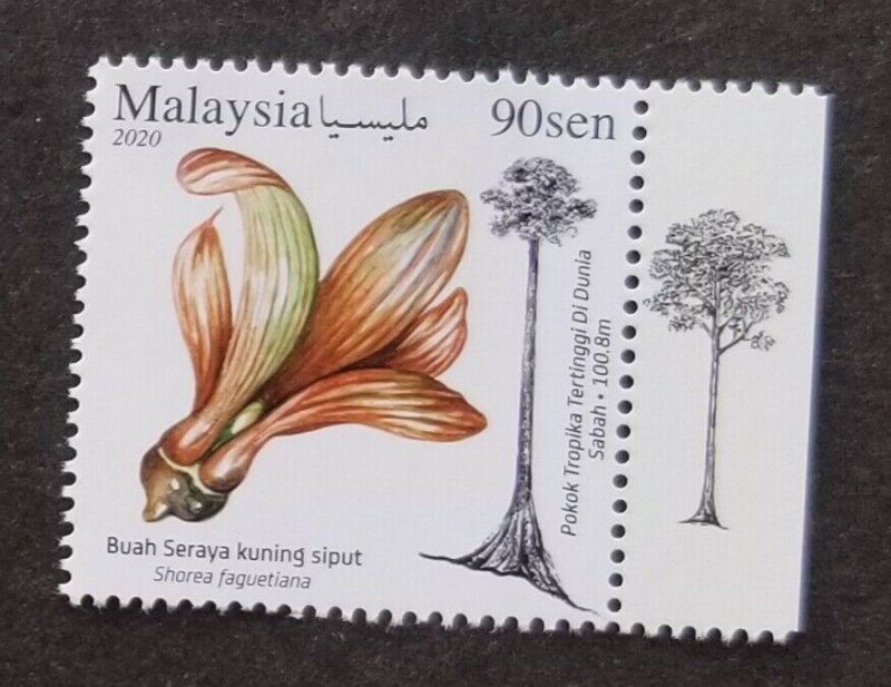 *FREE SHIP Malaysia World's Tallest Tropical Tree 2020 Flowers Seed (stamp) MNH