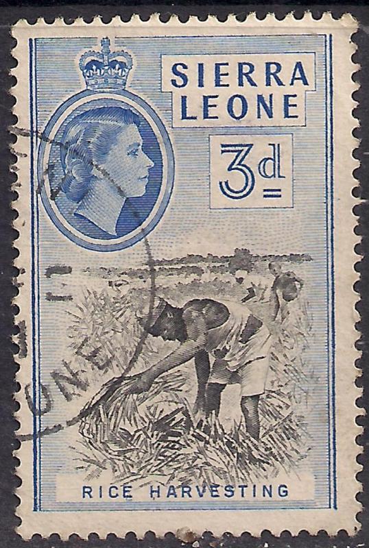 Sierra leone 1956 - 61 QE2 3d Rice Harvesting SG 214 ( K487 )