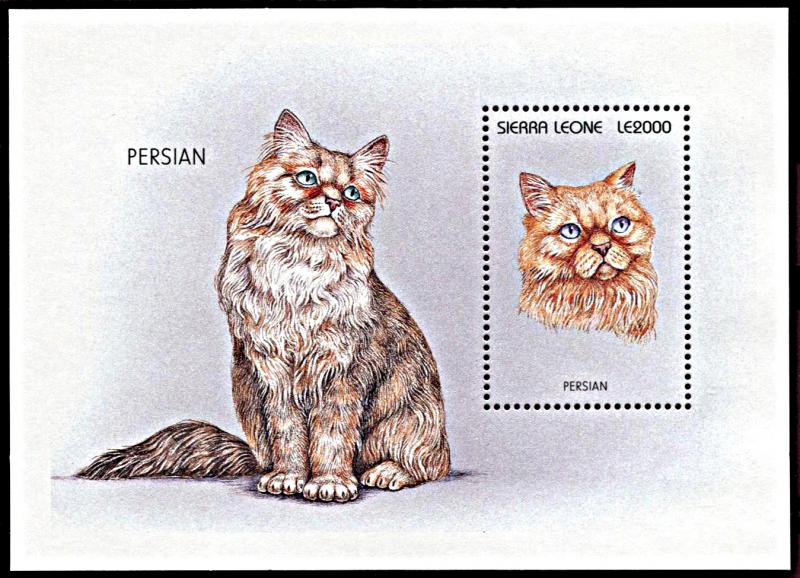 Sierra Leone 1894, MNH, Persian Cat souvenir sheet