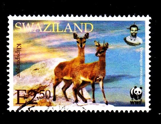 Swaziland - #701 Klipspingers - Used