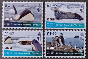 YEAR 2023 - BRITISH ANTARCTIC TERRITORY  - Complet Year 2023 set    MNH **