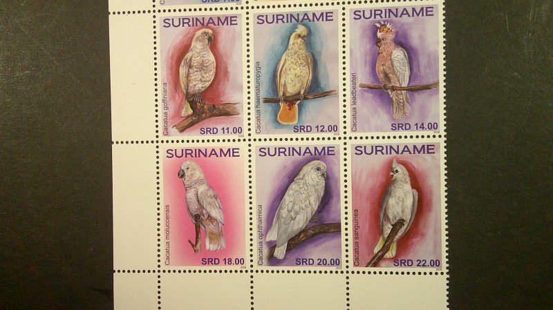 Suriname 2018 Birds Definitive Scott# 1540 a.-l. Mint XF NH Complete Block of 12