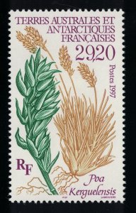 FSAT TAAF 'Poa kerguelensis' Plant 1997 MNH SG#373 MI#367