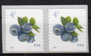 US 2022 5653 Blueberries Coil Pair MNH