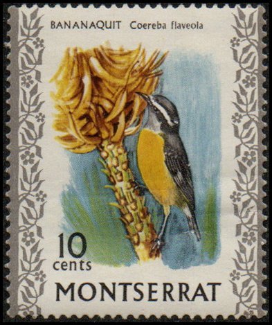 Montserrat 236 - Mint-NH - 10c Bananaquit (1970) (cv $0.55)