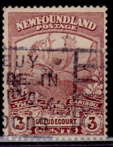 Canada - Newfoundland 1919, Trail of the Caribou, 3c, sc#117, used