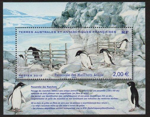 FSAT TAAF 2012 Penguin SS VF MNH