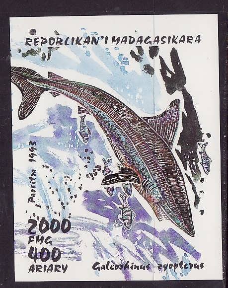 Madagascar Malagasy-Sc#1287-unused NH sheet-Marine Life-Sharks-1993-