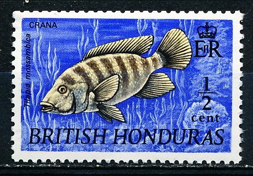 British Honduras #234 Single MNH