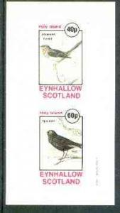 Eynhallow 1982 Birds #24 (Whiskered Fantail & Spectac...