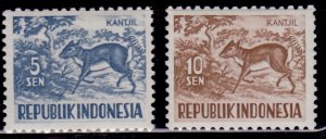 Indonesia 1956-58, Domestic Kantjil- Mouse Deer, MLH
