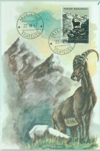 68685 - ITALY - postal history - MAXIMUM MAP 1967 - NATURE: fauna-
