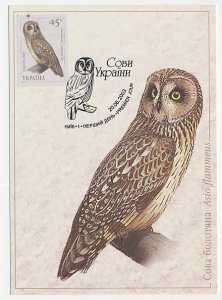 Maximum card Ukraine 2003 Bird - Owl