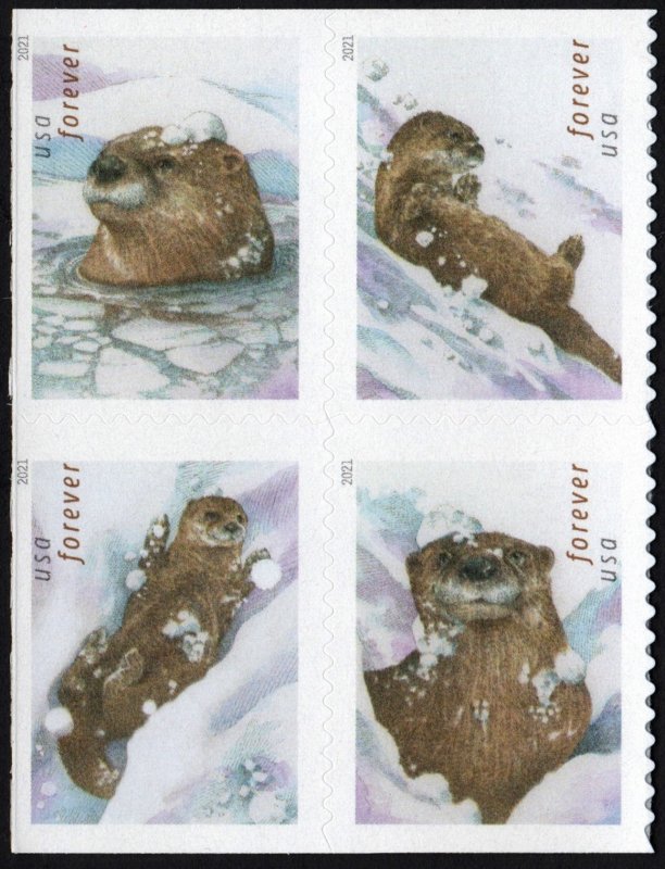 SC#5648-51 (Forever) Otters In Snow Block of Four (2021) SA